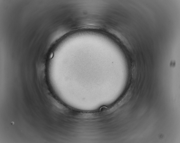 X0000101391402200808041006