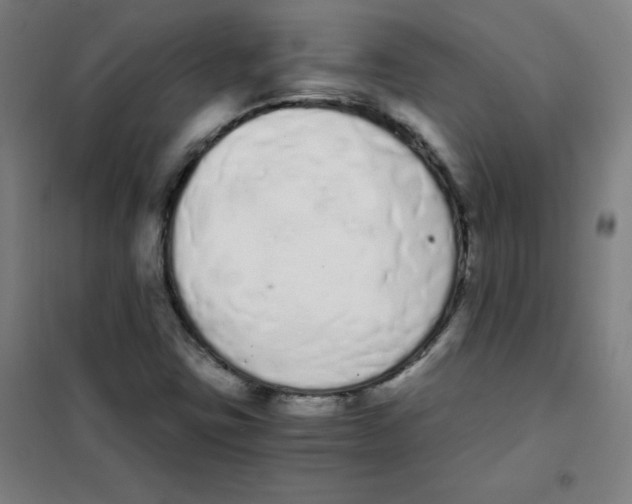 X0000101391403200808041006