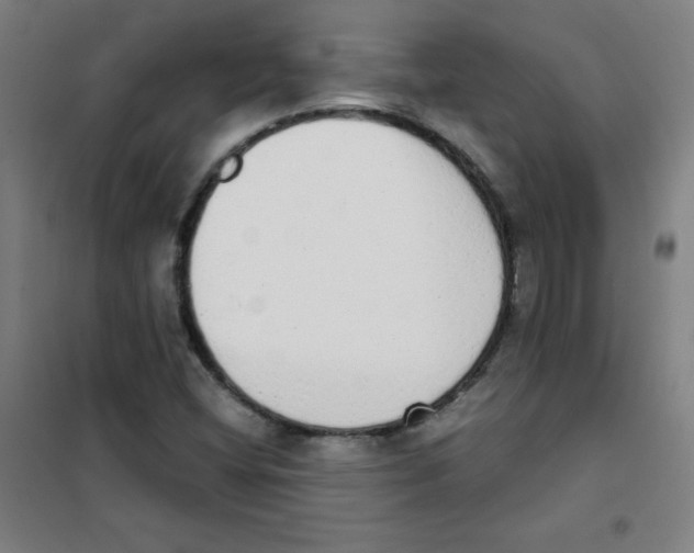 X0000101391404200808041006