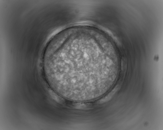 X0000101391405200808041006