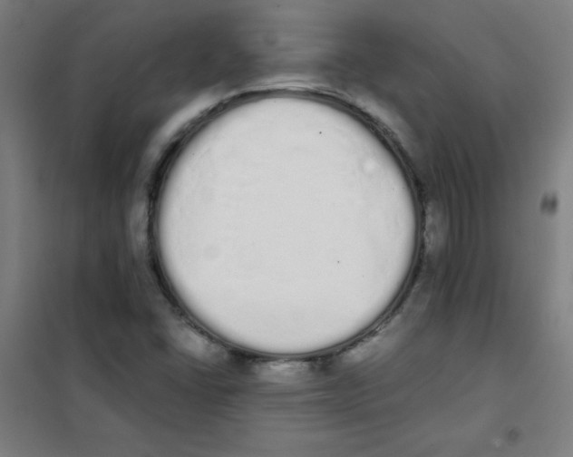 X0000101391406200808041006