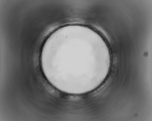 X0000101391407200808041006