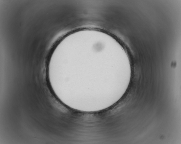 X0000101391408200808041006