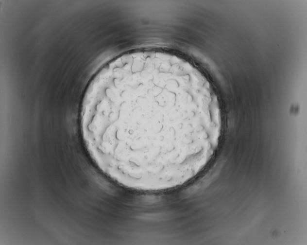X0000101391409200808041006