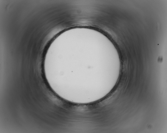 X0000101391410200808041006
