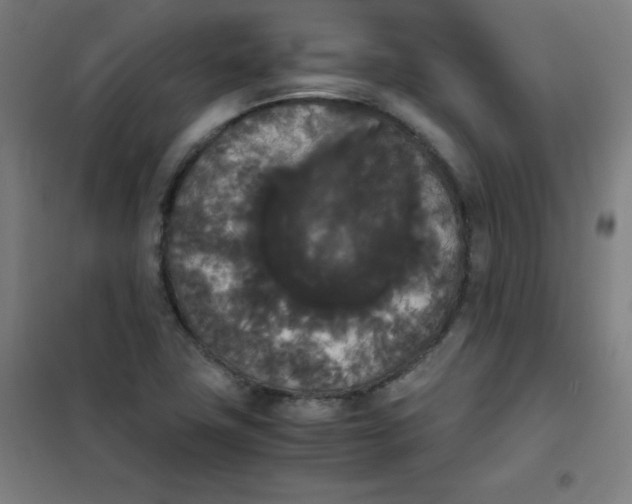 X0000101391411200808041006