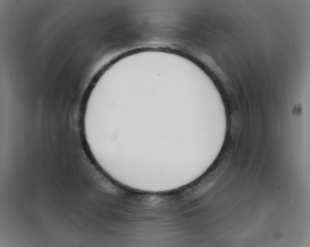 X0000101391412200808041006