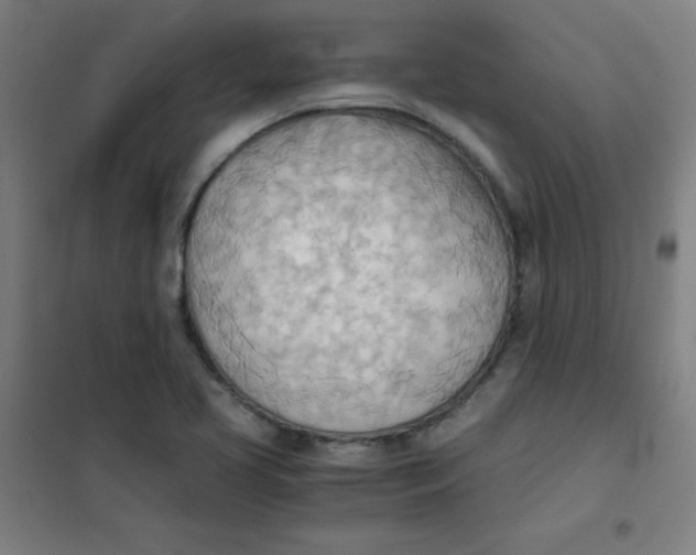 X0000101391413200808041006