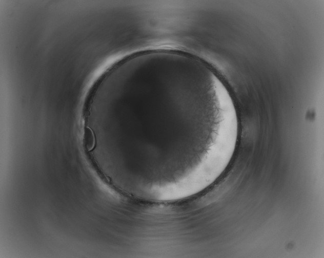 X0000101391414200808041006
