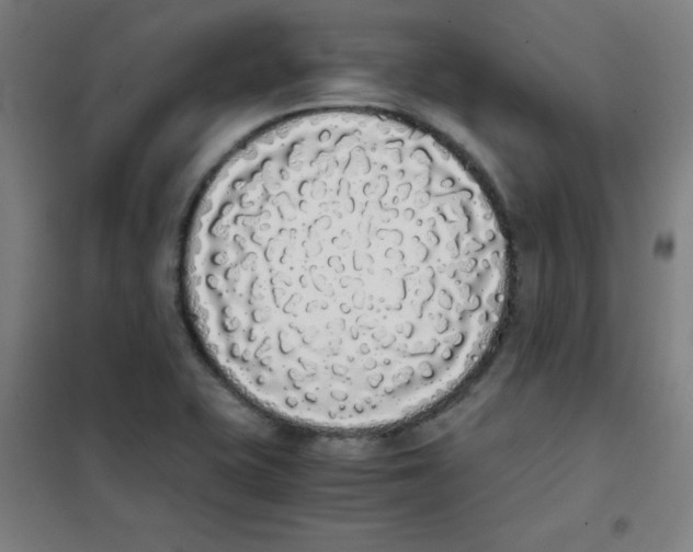 X0000101391415200808041006