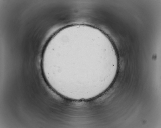 X0000101391416200808041006