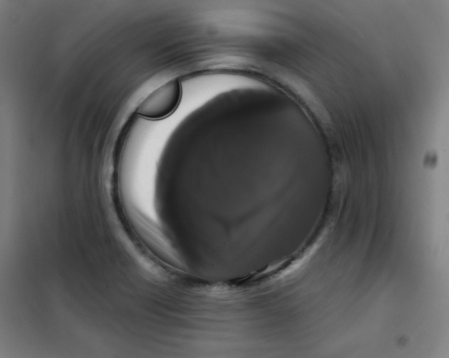 X0000101391418200808041006