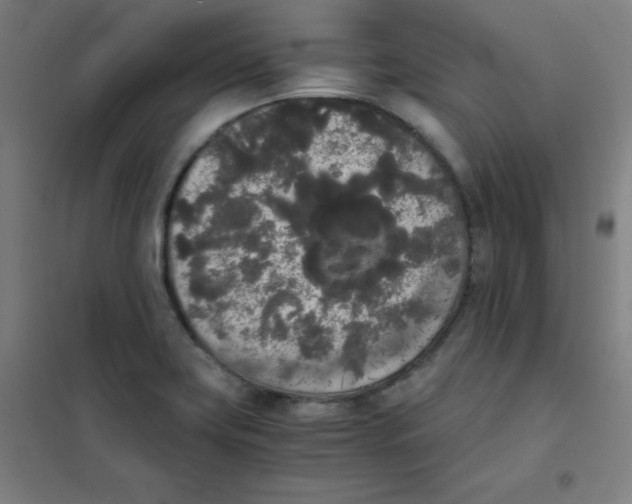 X0000101391419200808041006