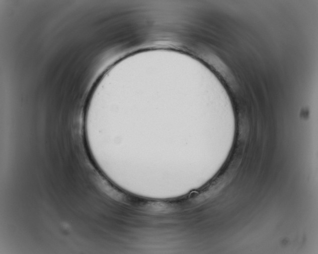 X0000101391420200808041006