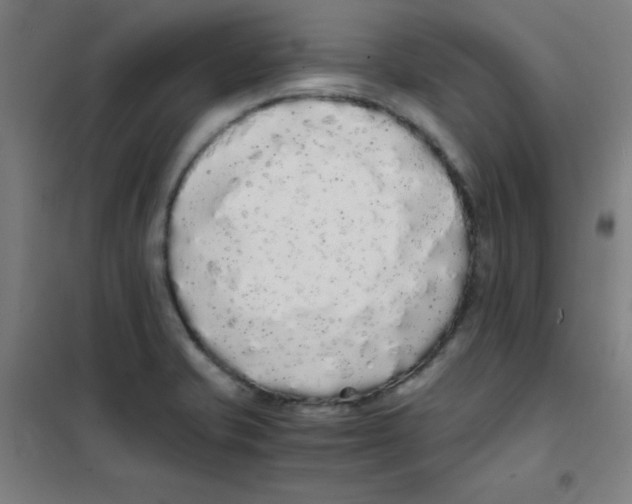 X0000101391421200808041006