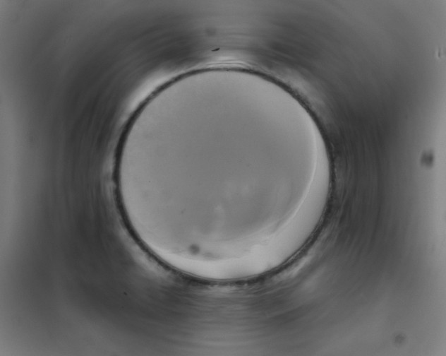 X0000101391422200808041006