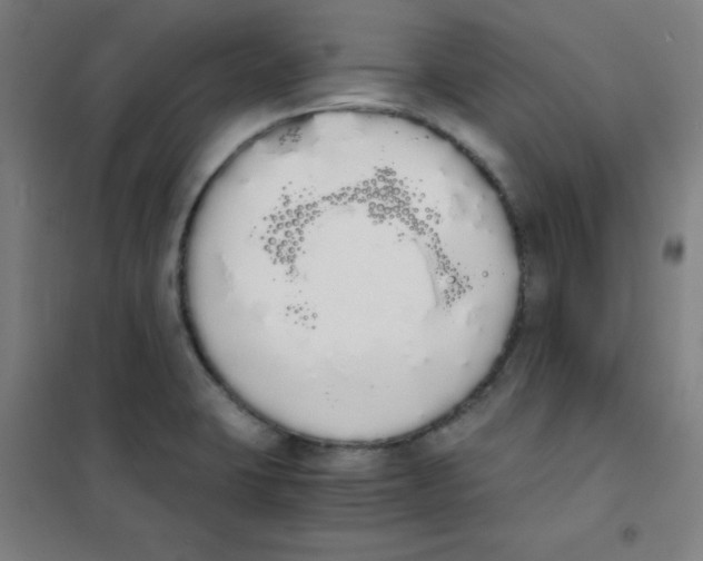 X0000101391423200808041006