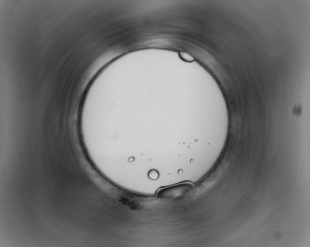 X0000101391426200808041006