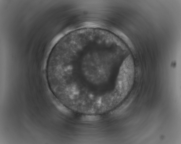X0000101391427200808041006