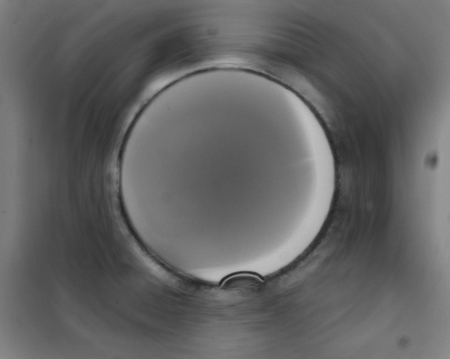 X0000101391428200808041006