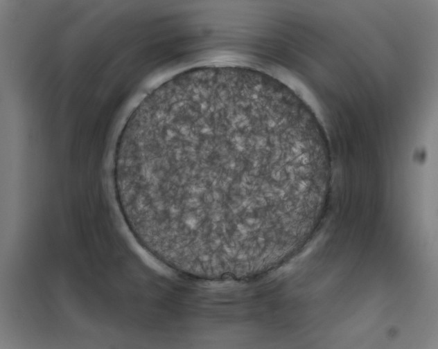 X0000101391429200808041006