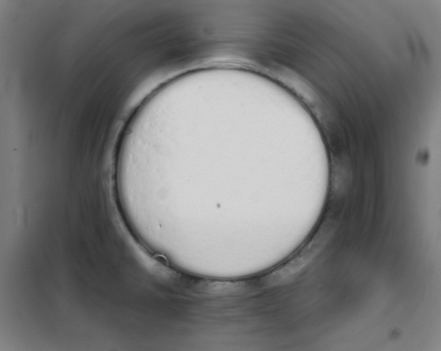 X0000101391430200808041006