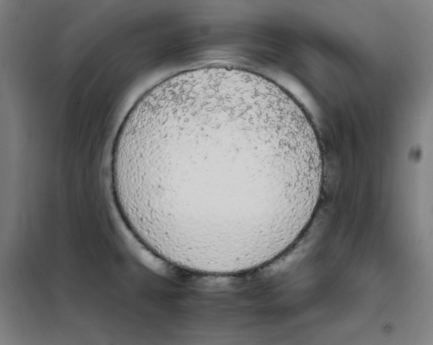 X0000101391431200808041006