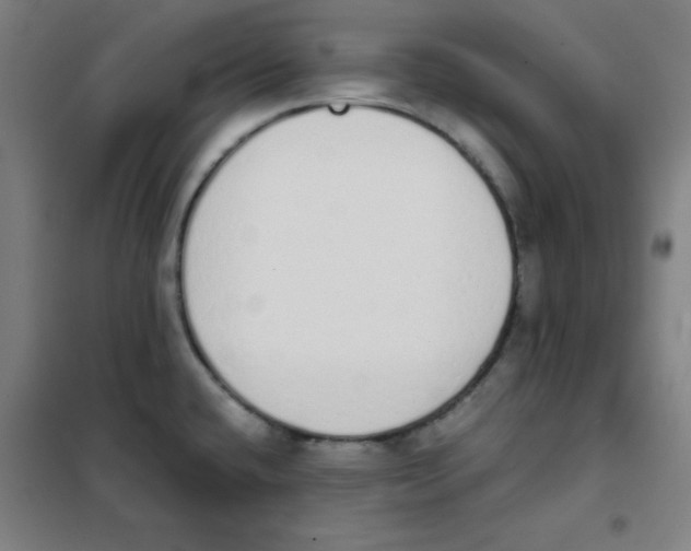 X0000101391432200808041006