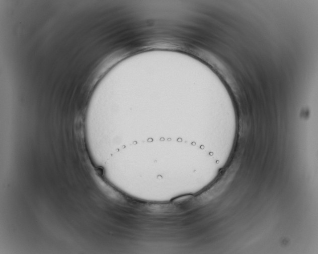 X0000101391433200808041007