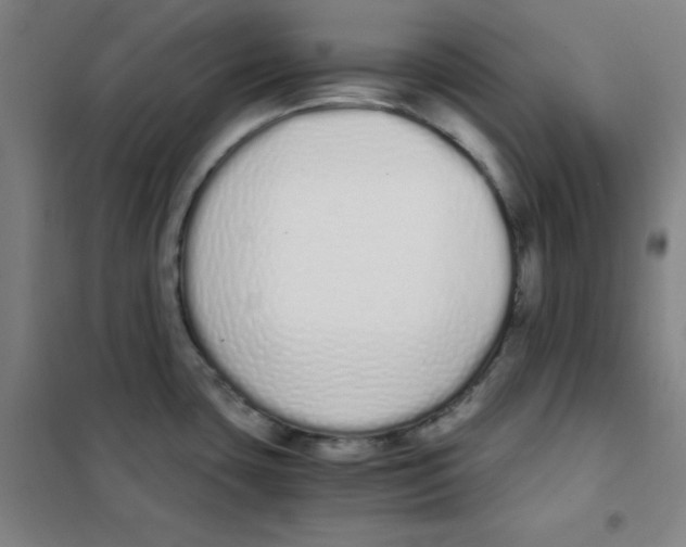 X0000101391435200808041007