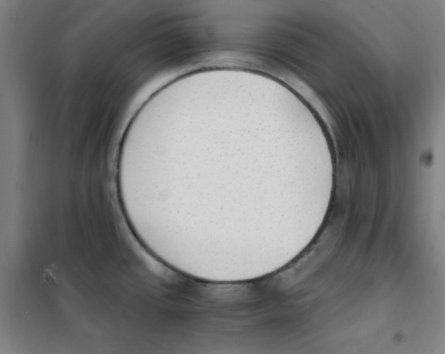 X0000101391437200808041007