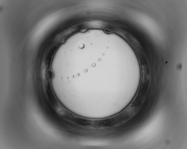 X0000101391438200808041007