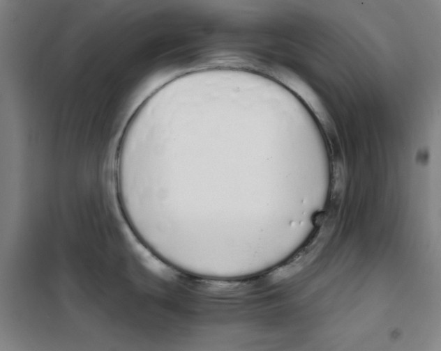 X0000101391439200808041007