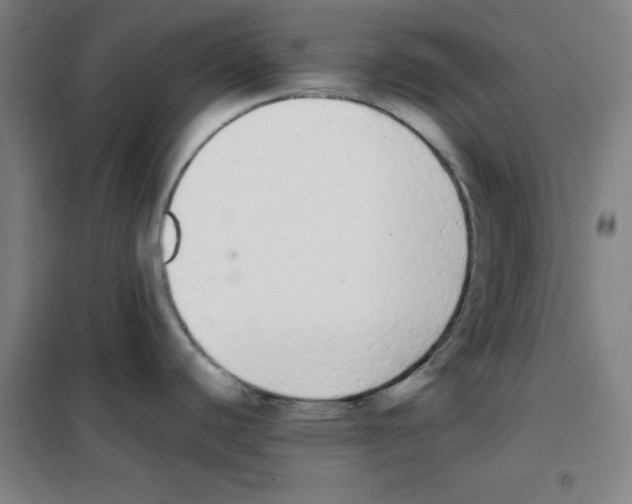 X0000101391440200808041007