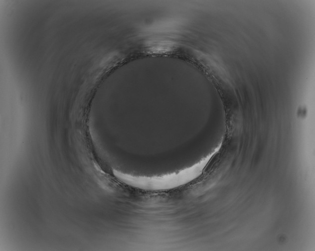X0000101391441200808041006
