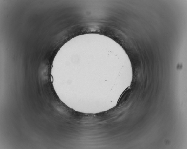 X0000101391442200808041006