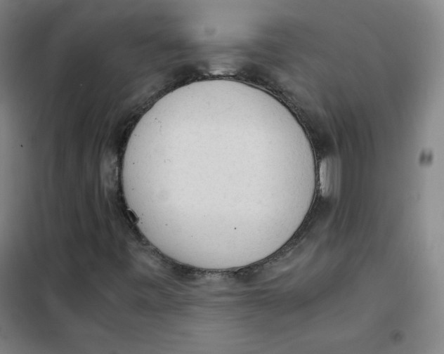 X0000101391443200808041006
