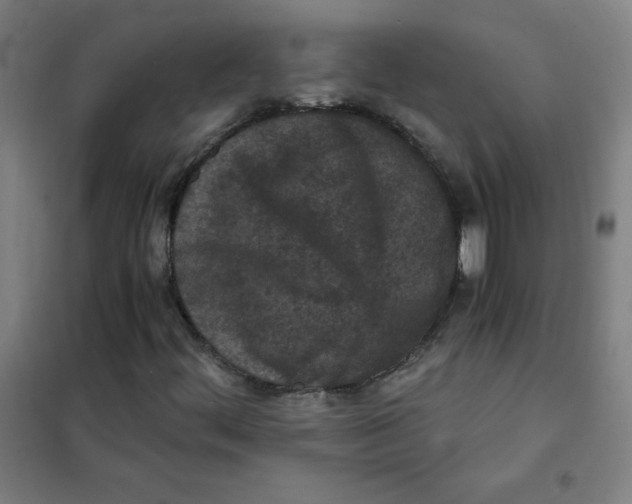 X0000101391444200808041006