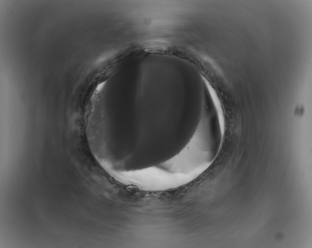 X0000101391445200808041006