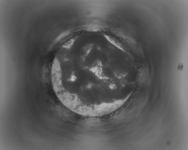 X0000101391446200808041006