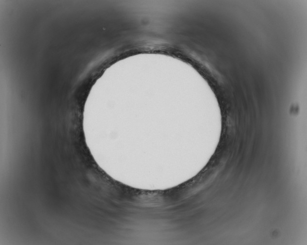 X0000101391447200808041006