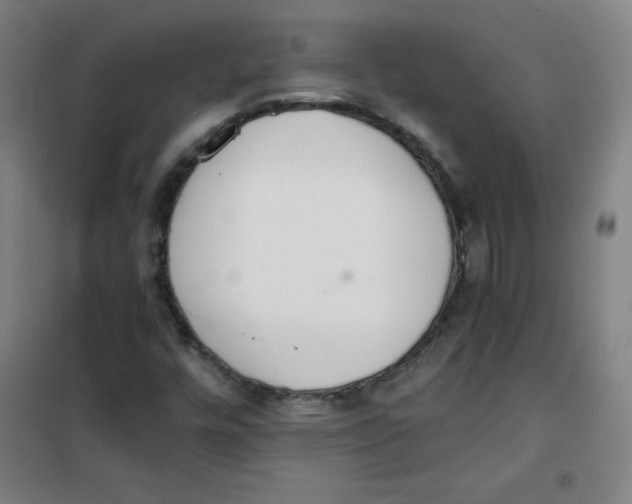 X0000101391448200808041006