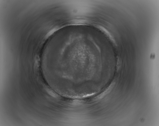 X0000101391449200808041006