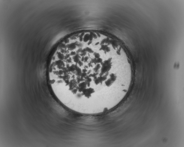 X0000101391450200808041006