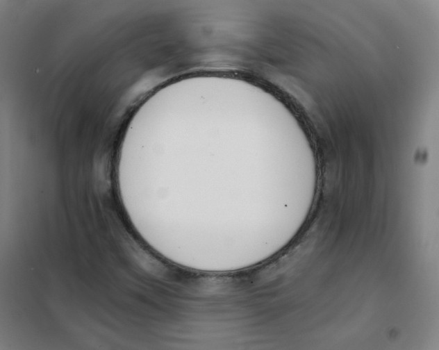 X0000101391451200808041006