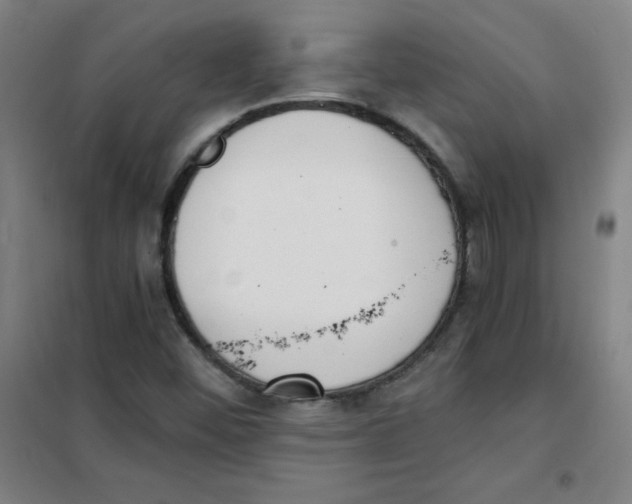 X0000101391452200808041006