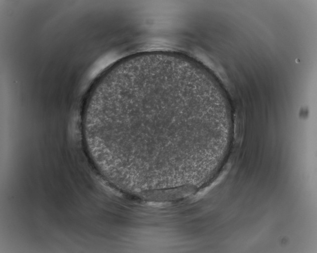 X0000101391453200808041006