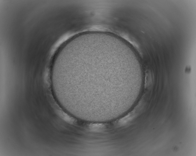 X0000101391454200808041006