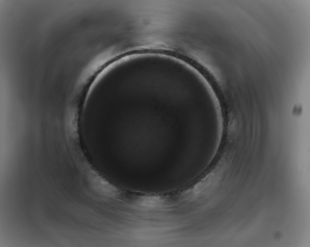 X0000101391455200808041006