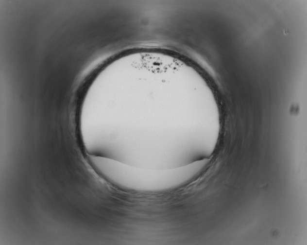 X0000101391456200808041006